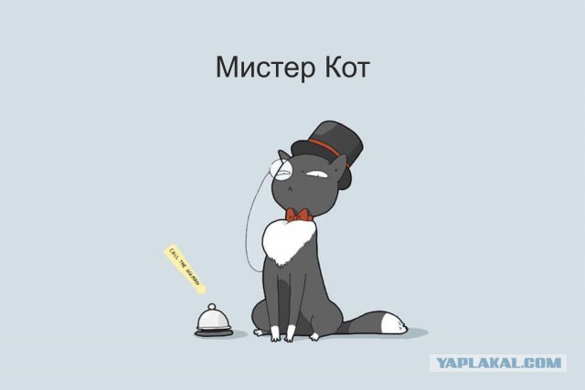 Класификация котов в картинках