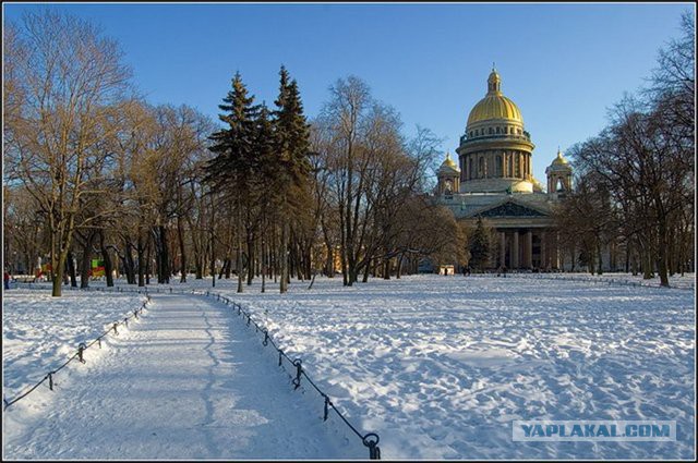 Погостить в Питер - welcome !