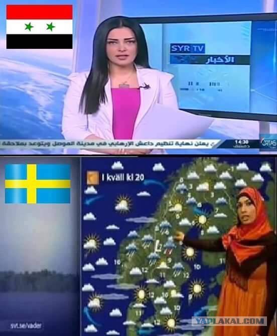 Типичное объявление в шведском подъезде