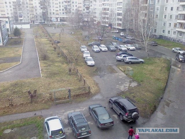 Как в Москве воруют газоны,