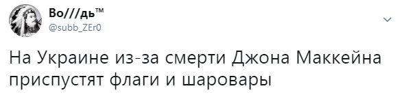 11947261.jpg
