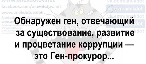 Власти обсуждают повышение минимального трудового стажа для получения пенсии