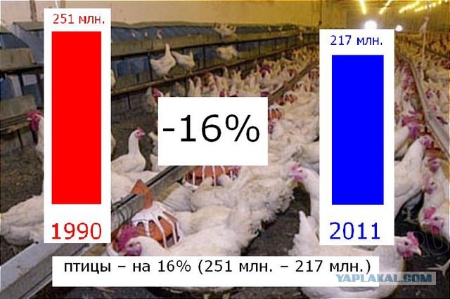 УССР vs Украина