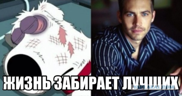 http://s00.yaplakal.com/pics/pics_original/1/7/6/2495671.jpg