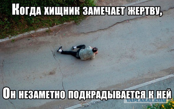3980671.jpg