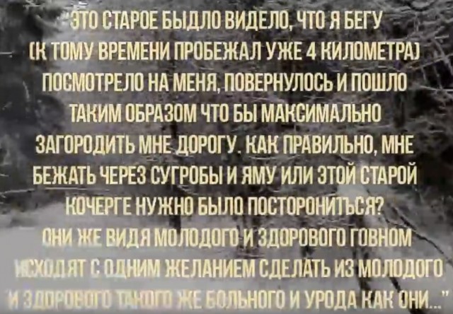 В деревне Бегуницы стук качелей помешал столетней бабушке. Её младшие подруги решили проблему радикально — спилили их