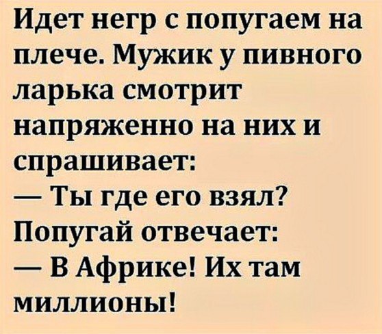 Субботняя порция перлов, высказываний, котоламповых историй