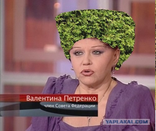 Странная прическа Валентины Петренко