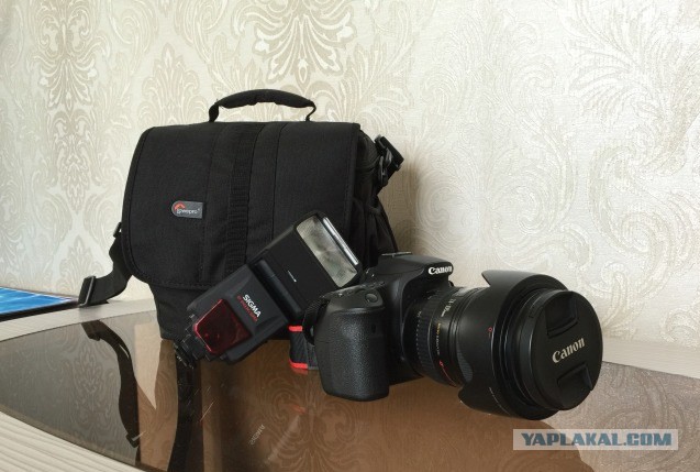 Canon 60D+ Canon EF 24-105mm f/4L IS USM+ вспышка