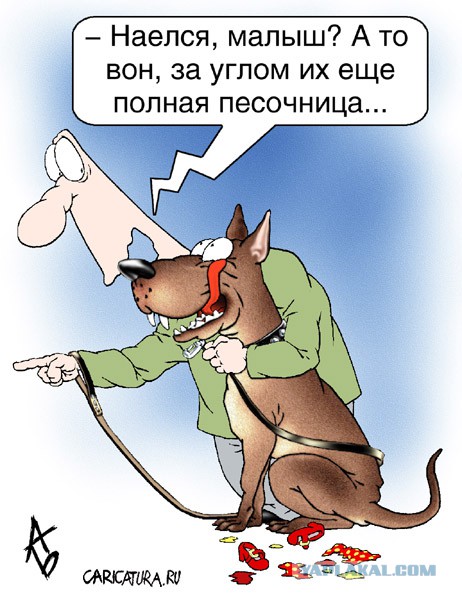 Бродячая собака в Астрахани разорвала щеку ребёнку