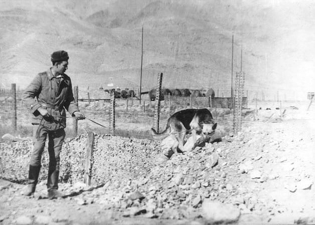 15 февраля. 30 лет со дня вывода советских войск из Афганистана.