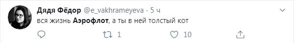 «Сегодня – кот, а завтра – каждый из нас»: реакция соцсетей на конфликт «Аэрофлота» и хозяина толстого кота