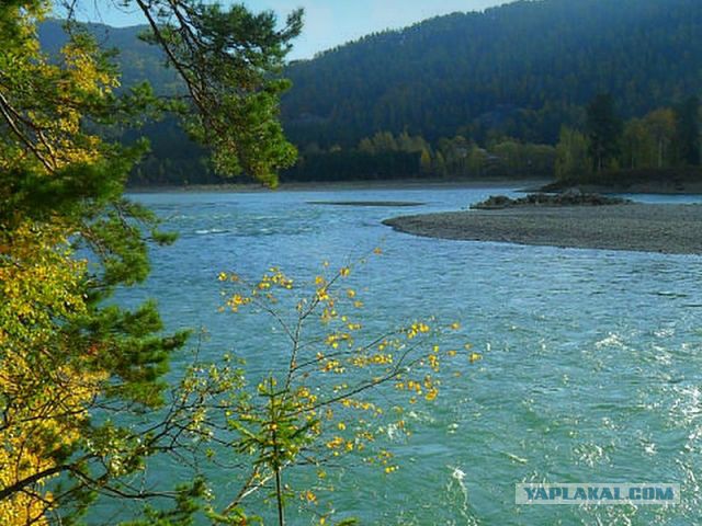 Этот загадочный и прекрасный Горный Алтай