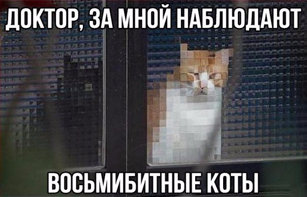 Непревзойденные убийцы. Кошки