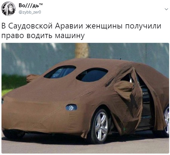 10359981.jpg