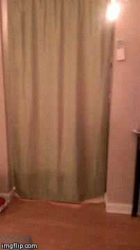 http://s00.yaplakal.com/pics/pics_original/1/9/3/3605391.gif