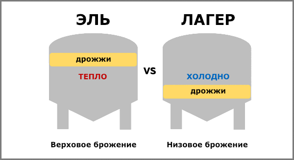 Пивной ликбез: главное, что стоит знать о пиве