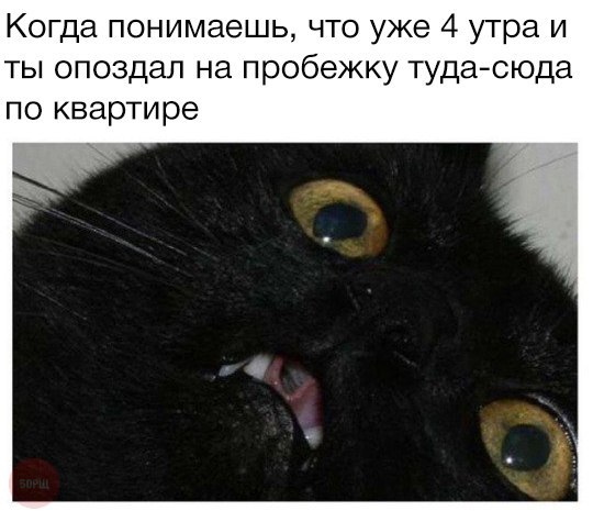 9936691.jpg