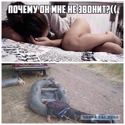 8039202.jpg