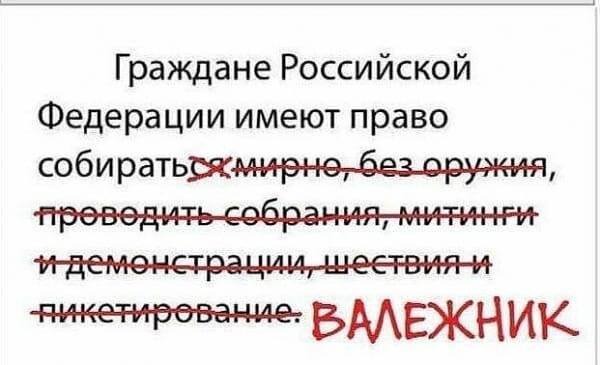 13292302.jpg