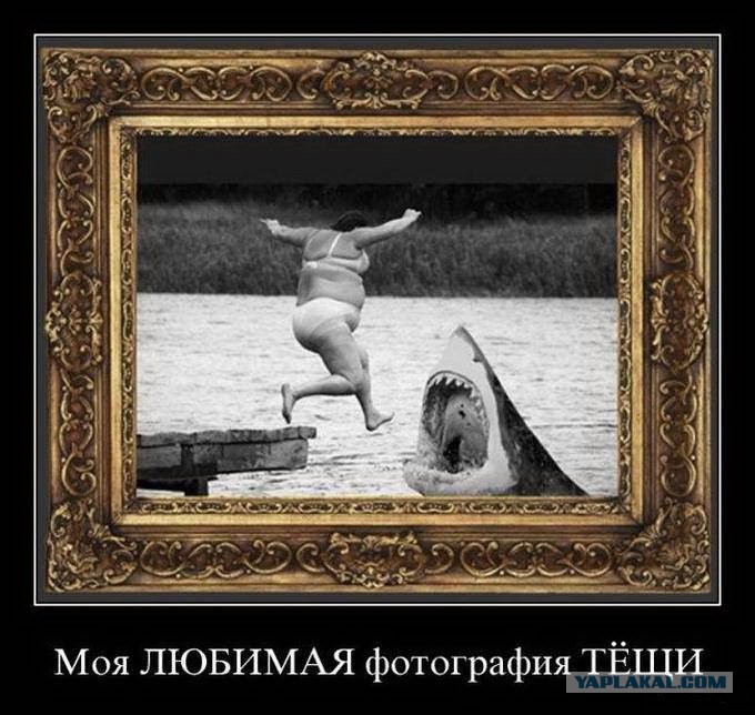 Image result for продам тещу фото