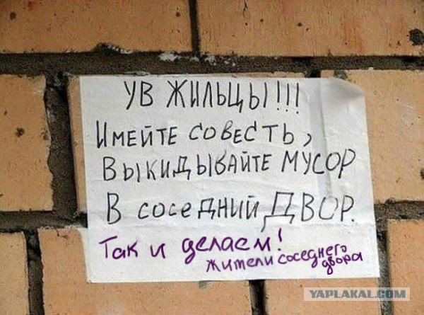 4185502.jpg