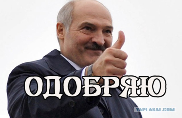 Беларусы капаюць бульбу