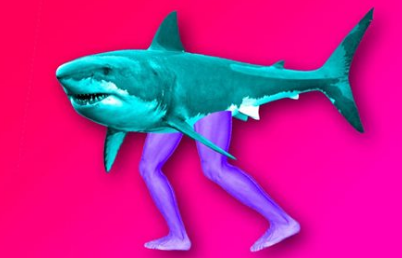 Учёные назвали «шагающих» акул самой новой ветвью эволюции своего вида