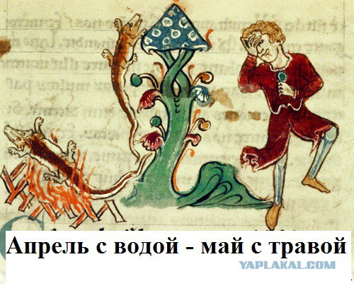 Пословицы и поговорки средневековья