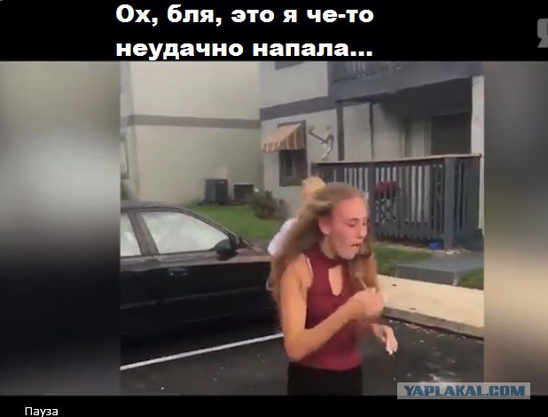 Что то в драке пошло не так Что то в драке пошло не так