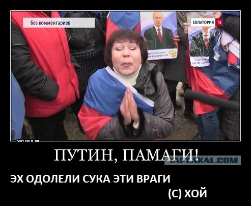 Обманутые дольшики на коленях просят помощи у Путина.