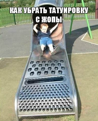 9529802.jpg