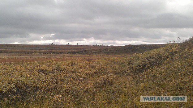 В гостях у загадочной ямальской тундры