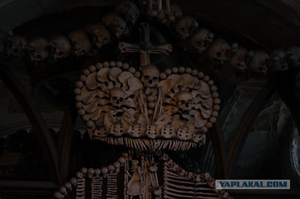 Церковь из костей (14 фото)
