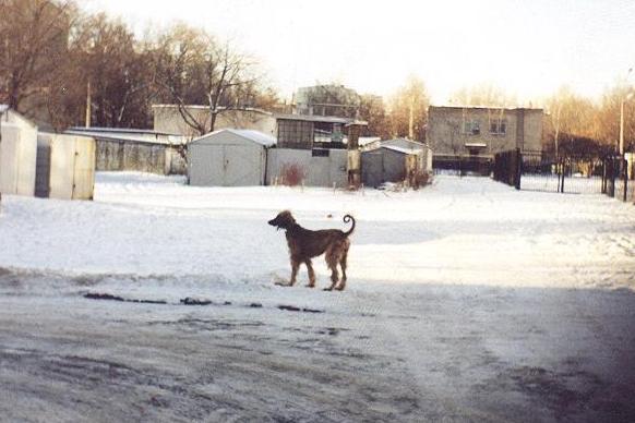 Ангел