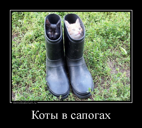 http://s00.yaplakal.com/pics/pics_original/2/1/7/4080712.jpg