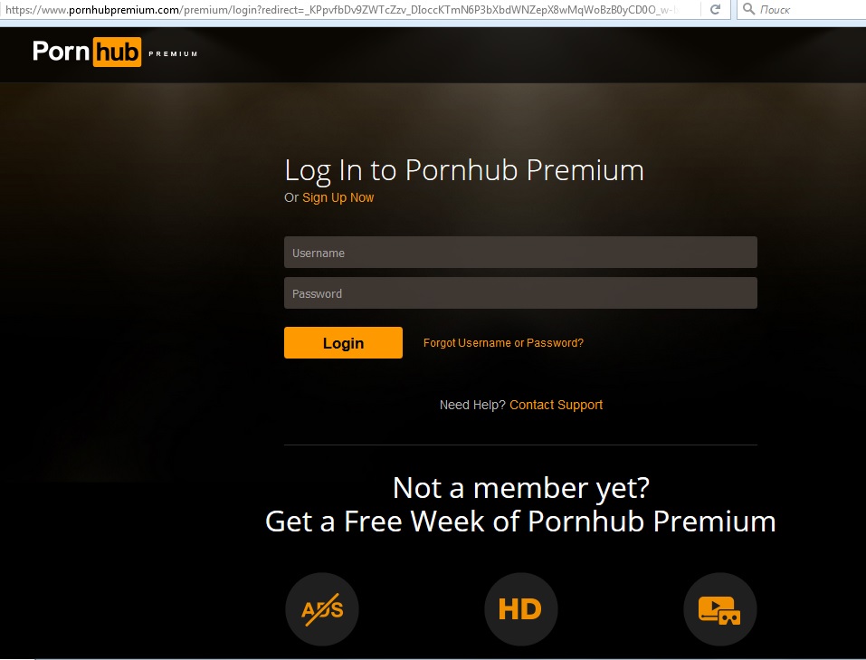 Порно Хаб Premium
