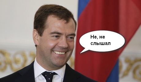 Из-за сына Медведева вырубили березовые рощи