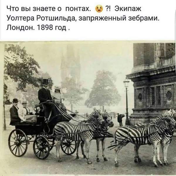 А что вы знаете о понтах?