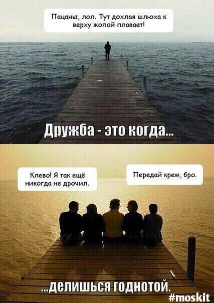 9803822.jpg