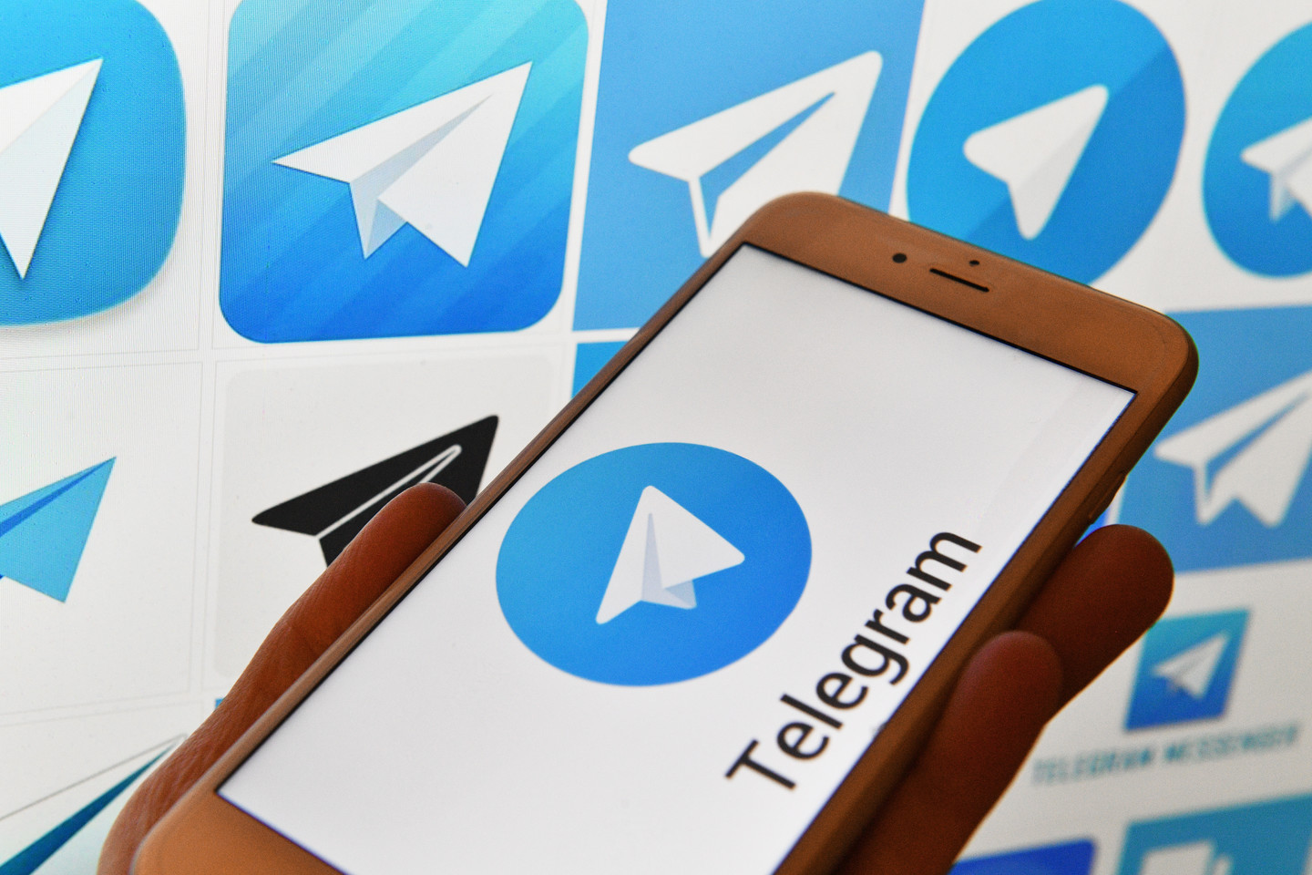      Telegram  