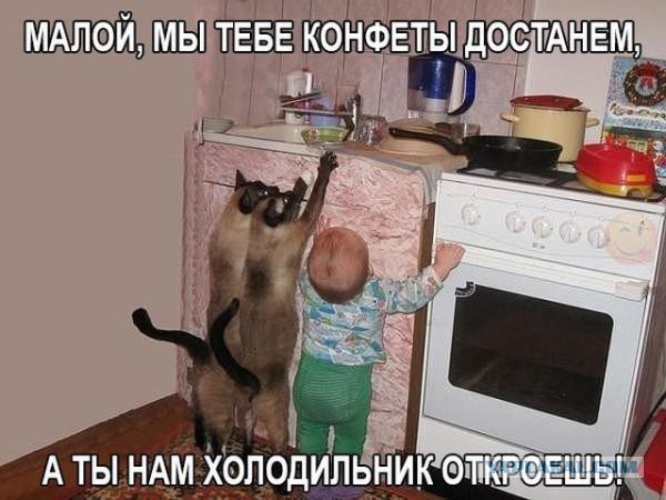 10970132.jpg