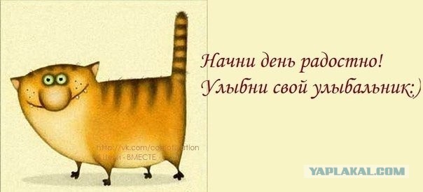 Афоризм поднимающие настроение Афоризм поднимающие настроение