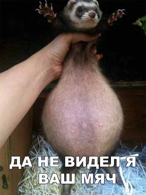 11315332.jpg