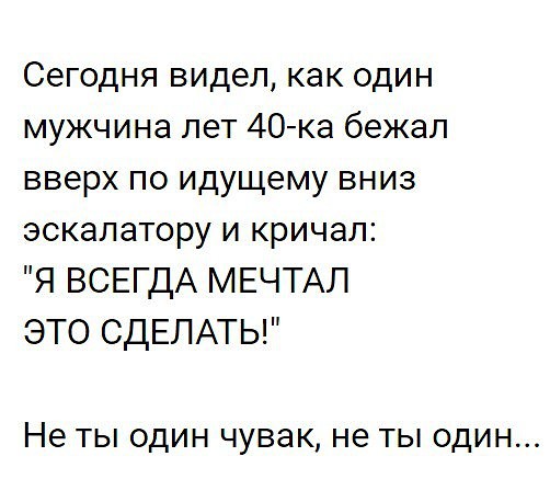 8782432.jpg