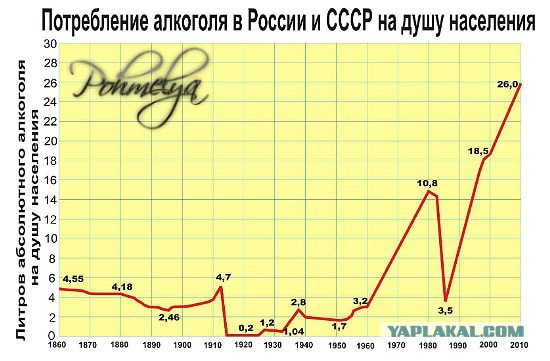 Водка раздора. В Чечне сотрудники ФСБ и полицейские подрались из-за алкоголя