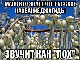 Родом из Советского Союза: 23 деликатеса, за которые можно было даже коллекцию календариков отдать!