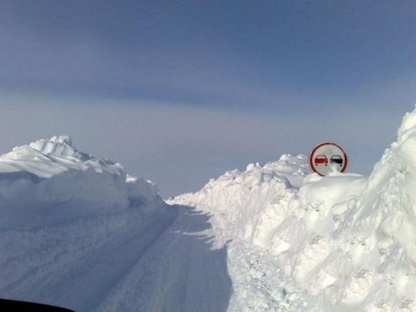 Подборка фотоприколов