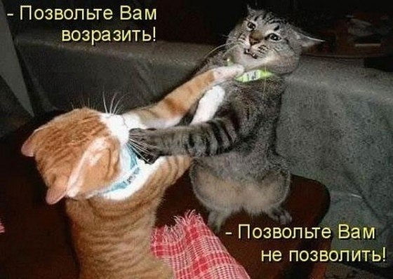 Эй, ты, отражение! А ну не копируй меня!