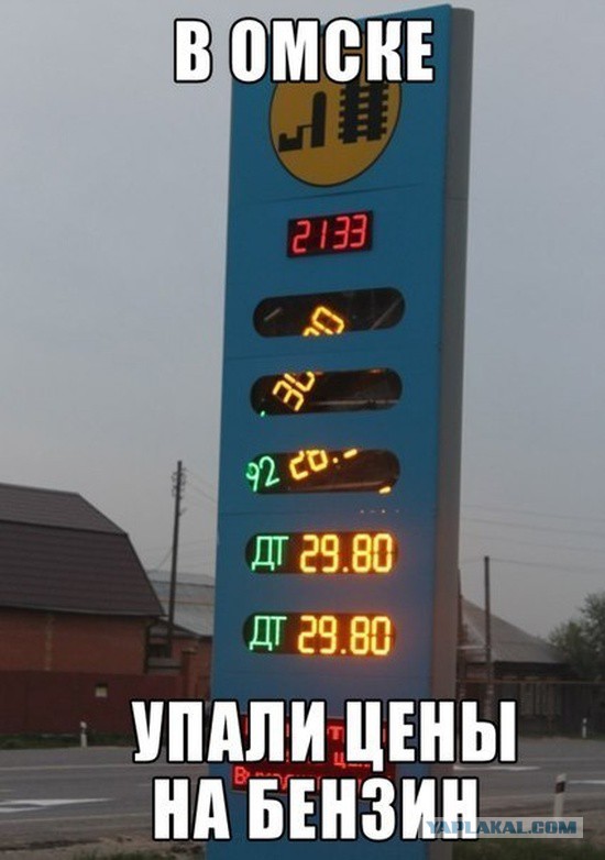 6913932.jpg